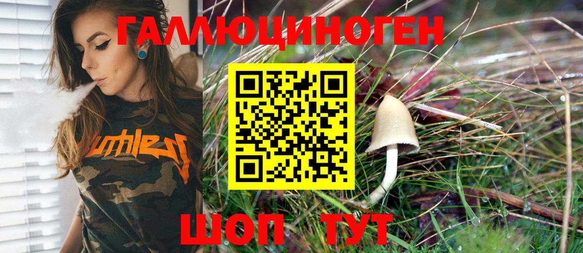 Псилоцибиновые грибы Psilocybe Щёлково