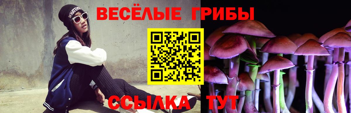 Щёлково  Псилоцибиновые грибы Psilocybe  Вход с VPN  Галлюциногенные грибы MAGIC MUSHROOMS 